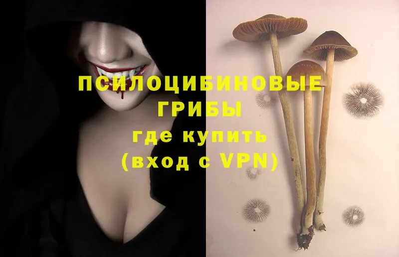 ОМГ ОМГ как зайти  Комсомольск  Псилоцибиновые грибы Psilocybine cubensis 